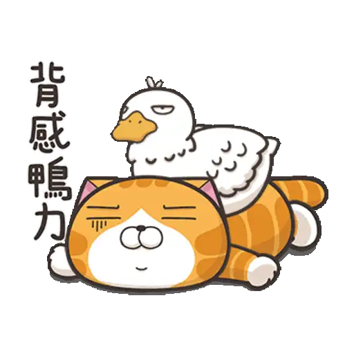 Lan Lan Cat: Move Your Body 11