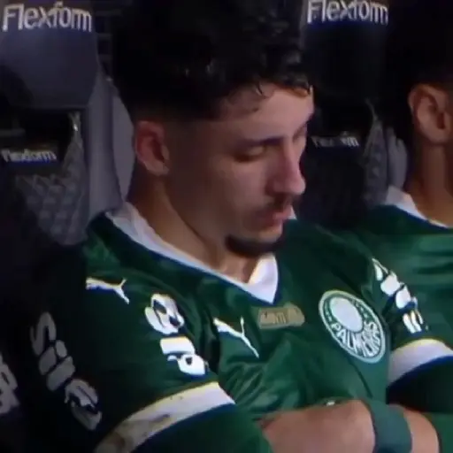 Piqueréz | Palmeiras 23