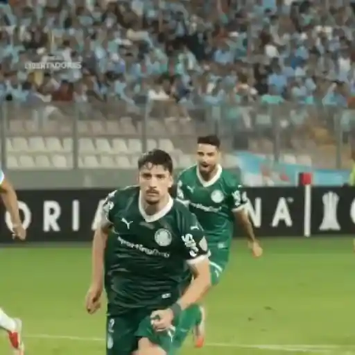 Piqueréz | Palmeiras 22