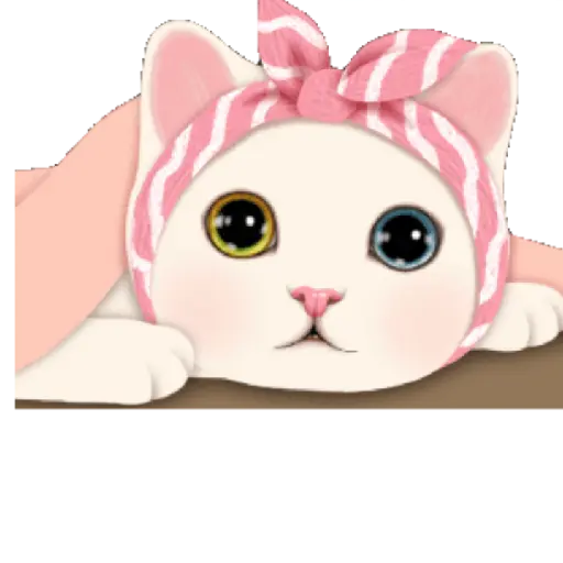 Gatinhos 13