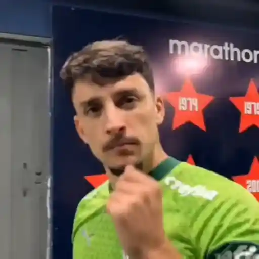 Piqueréz | Palmeiras 21