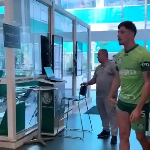 Piqueréz | Palmeiras 9