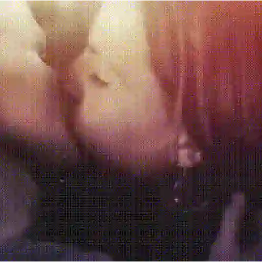 GIF Saficos 5