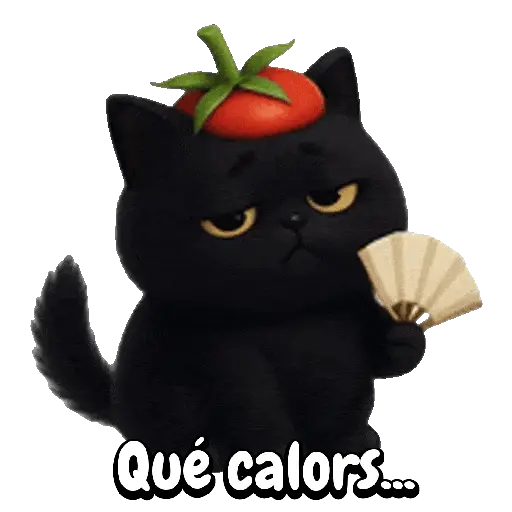 Tomate 🍅 Cat ⚫🐈‍⬛ 11