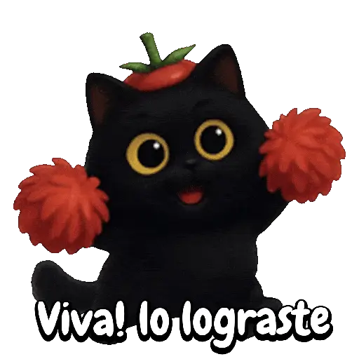 Tomate 🍅 Cat ⚫🐈‍⬛ 8
