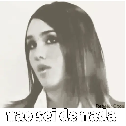 Animadas 12