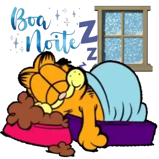 Boa Noite 14