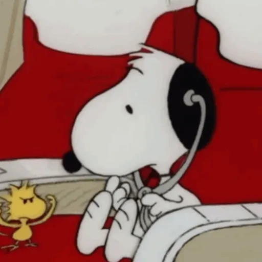 ❀ᮬ🐶⣧ ᩡᩡ Snoopy!©️Pochis 12