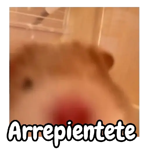 Ratita hámster Tik Tok 🐹🐭 2