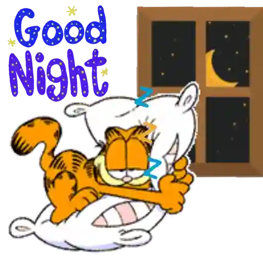 Boa Noite 17