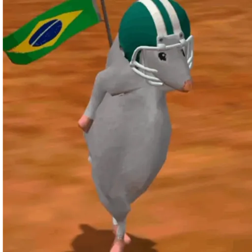 Vai Brasil! 🇧🇷 8