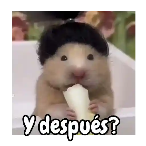 Ratita hámster Tik Tok 🐹🐭 4