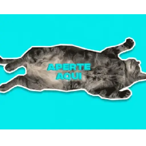 Gatos tiernos❤️ 4