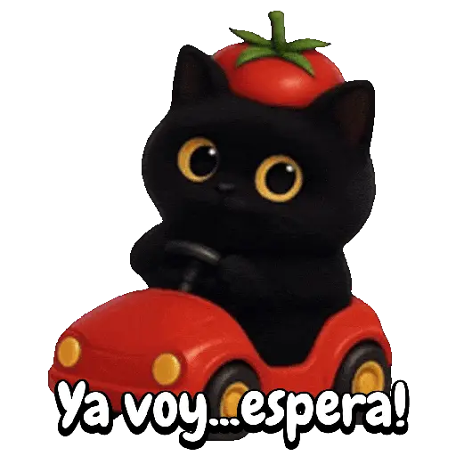 Tomate 🍅 Cat ⚫🐈‍⬛ 12