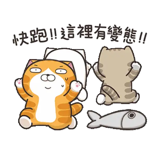 Lan Lan Cat: Move Your Body 6