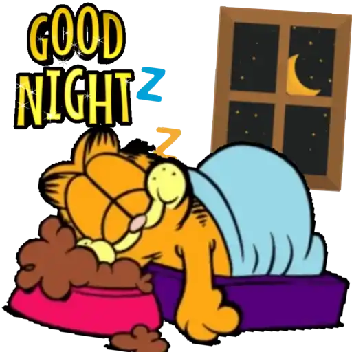 Boa Noite 15