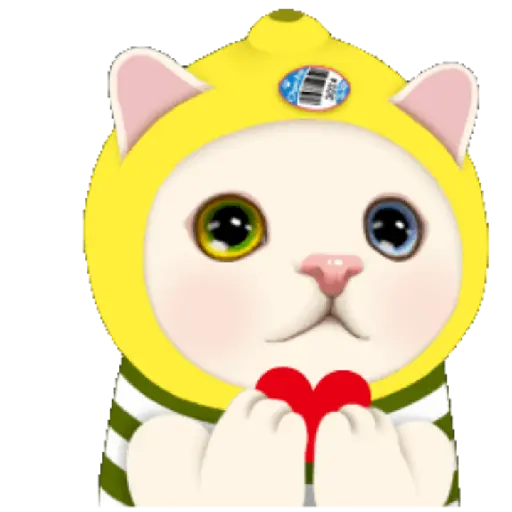 Gatinhos 12