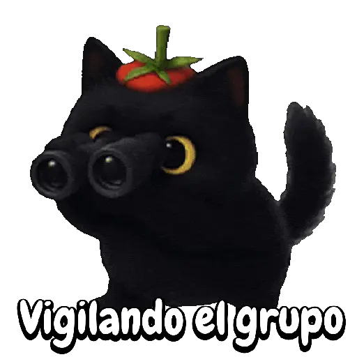 Tomate 🍅 Cat ⚫🐈‍⬛ 18