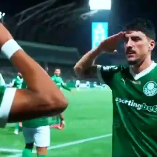 Piqueréz | Palmeiras 16