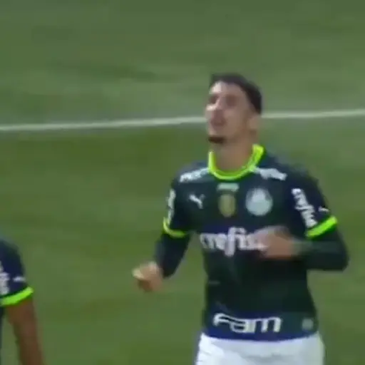 Piqueréz | Palmeiras 14