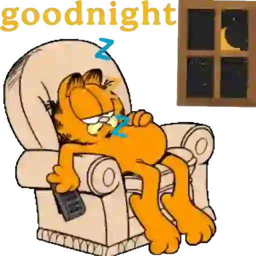 Boa Noite 18
