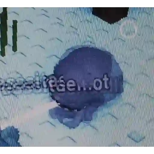 No c 1