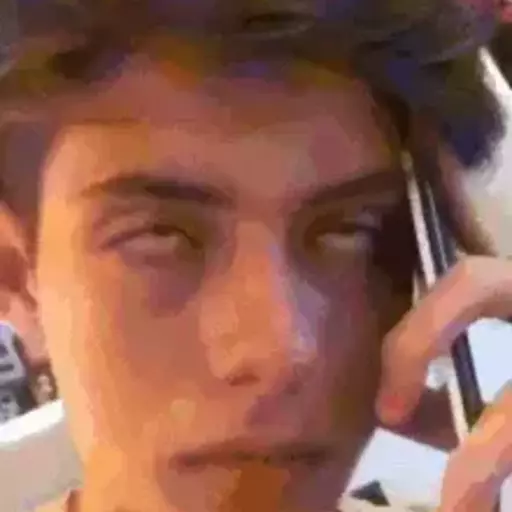 Memes animados 8