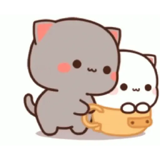 Mocha mochi catt lucukkk 12