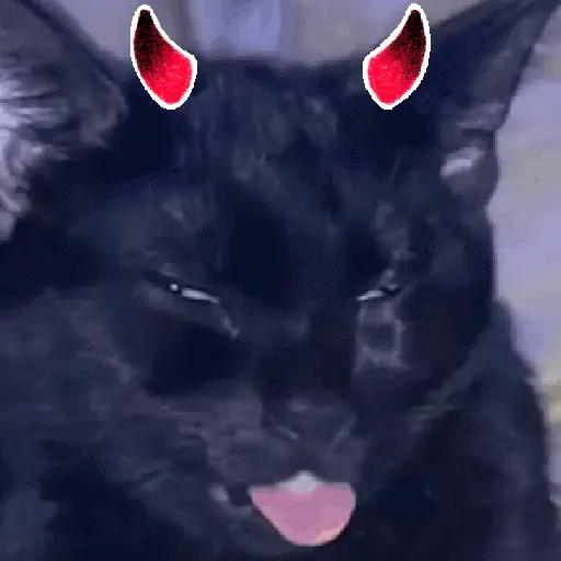 Gatos horny  5