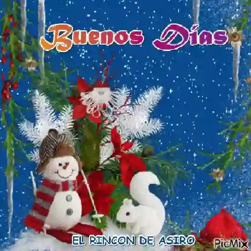 Arbolito 6