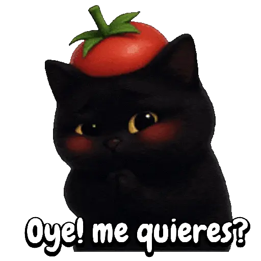 Tomate 🍅 Cat ⚫🐈‍⬛ 1