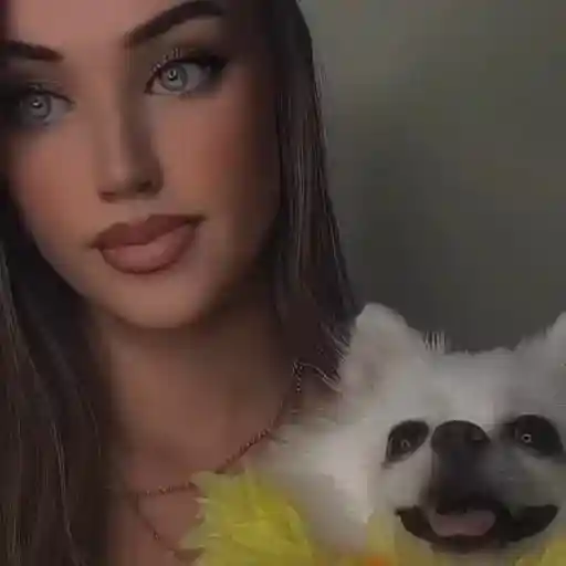 Zoom @4 8