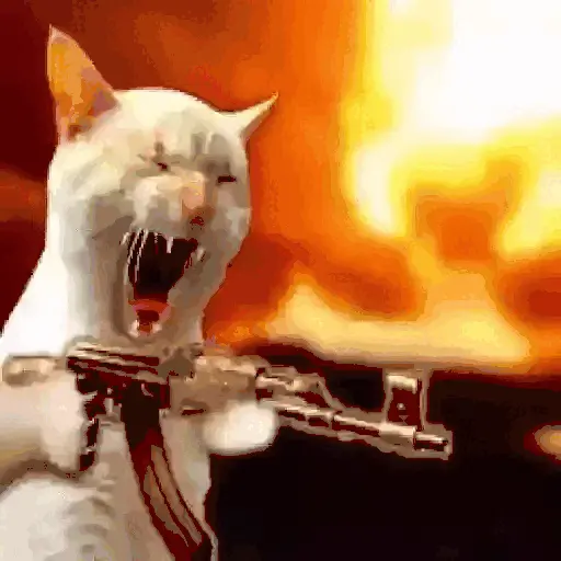 GATOS RANDOM - PARTE 21 23