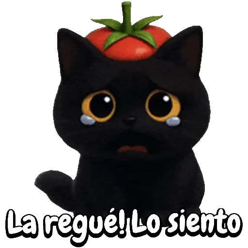 Tomate 🍅 Cat ⚫🐈‍⬛ 10