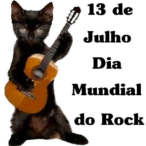 Dia Mundial do Rock 5