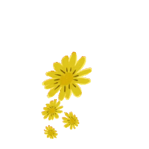 Flores Amarillas ✨🌻 10
