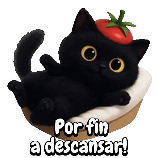 Tomate 🍅 Cat ⚫🐈‍⬛ 6