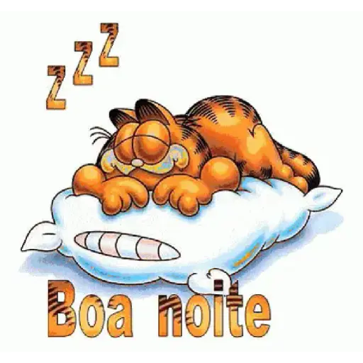 Boa noite 11