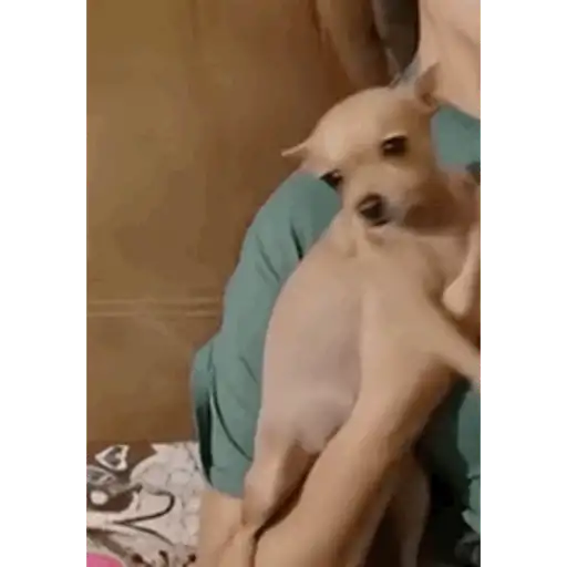 BOMBASTIC SIDE EYE 10