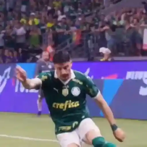 Piqueréz | Palmeiras 8