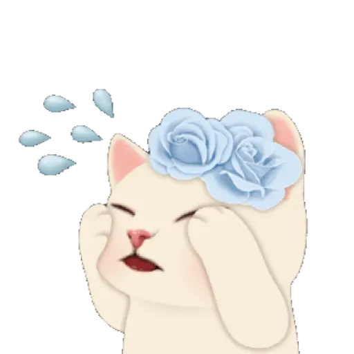 Gatinhos 10
