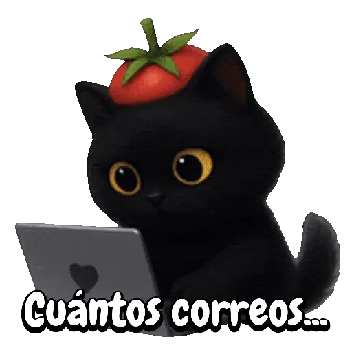 Tomate 🍅 Cat ⚫🐈‍⬛ 7
