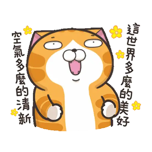 Lan Lan Cat: Move Your Body 8