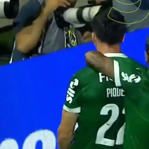 Piqueréz | Palmeiras 12
