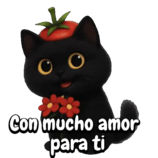Tomate 🍅 Cat ⚫🐈‍⬛ 17