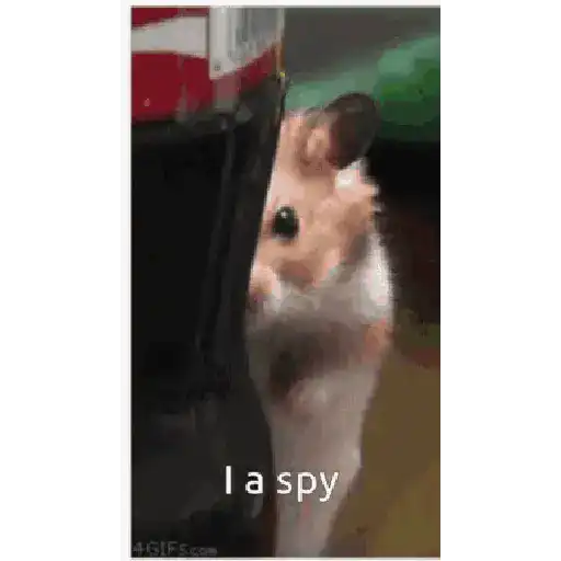 Apaixonado 11