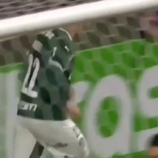 Piqueréz | Palmeiras 15