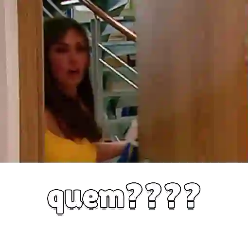 Animadas 14