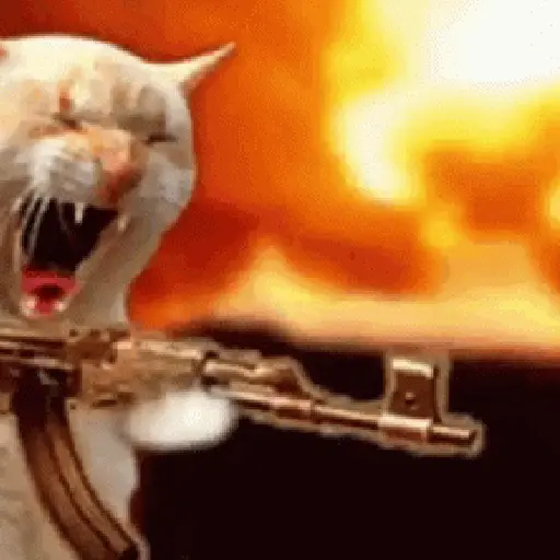🐈‍⬛🐈😡 GATOS ENOJADOS 😡🐈🐈‍⬛ 3
