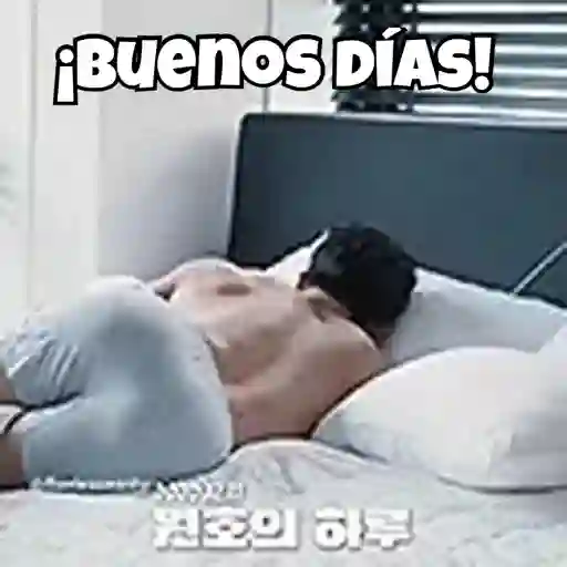 CaptainKorea🐰 6